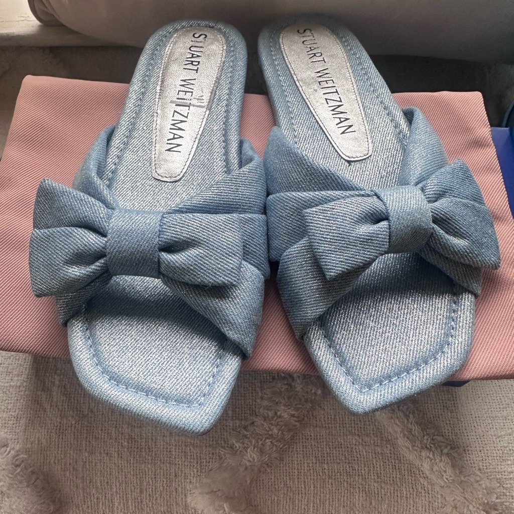 Stuart Weitzman Sophia Slide Silver And Blue Shoe Box 7.5m